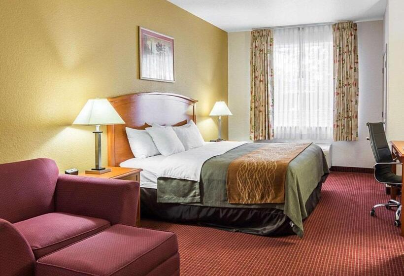 اتاق استاندارد با تخت بزرگ, Comfort Inn & Suites Chesapeake  Portsmouth