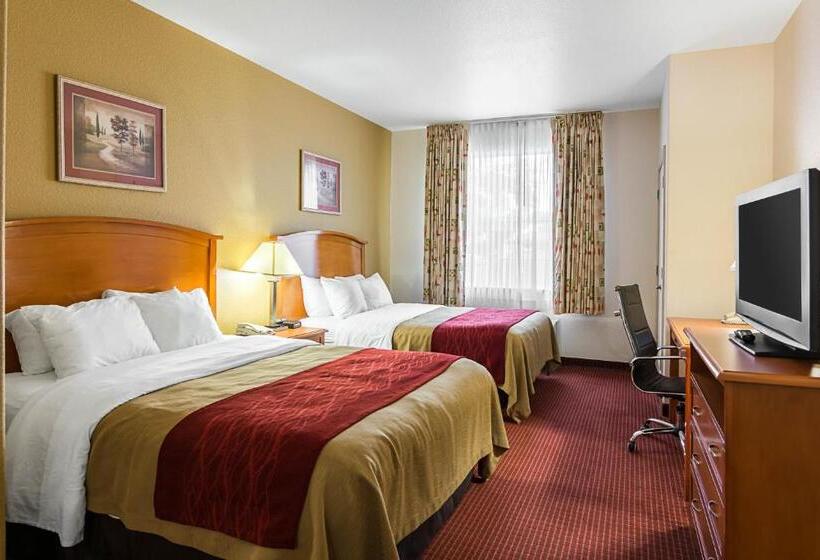 اتاق استاندارد, Comfort Inn & Suites Chesapeake  Portsmouth