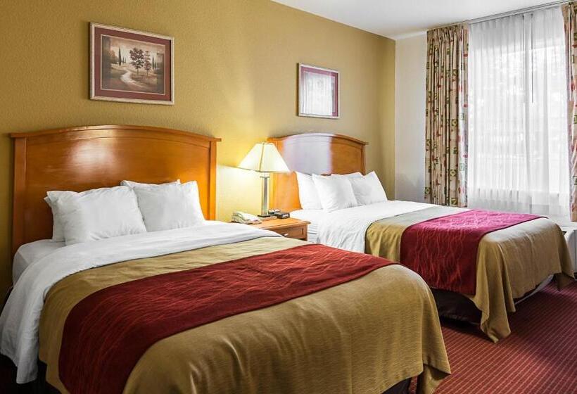 اتاق استاندارد, Comfort Inn & Suites Chesapeake  Portsmouth