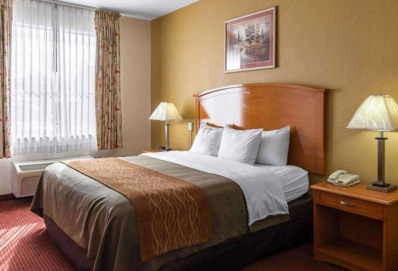 سوئیت با تخت بزرگ, Comfort Inn & Suites Chesapeake  Portsmouth