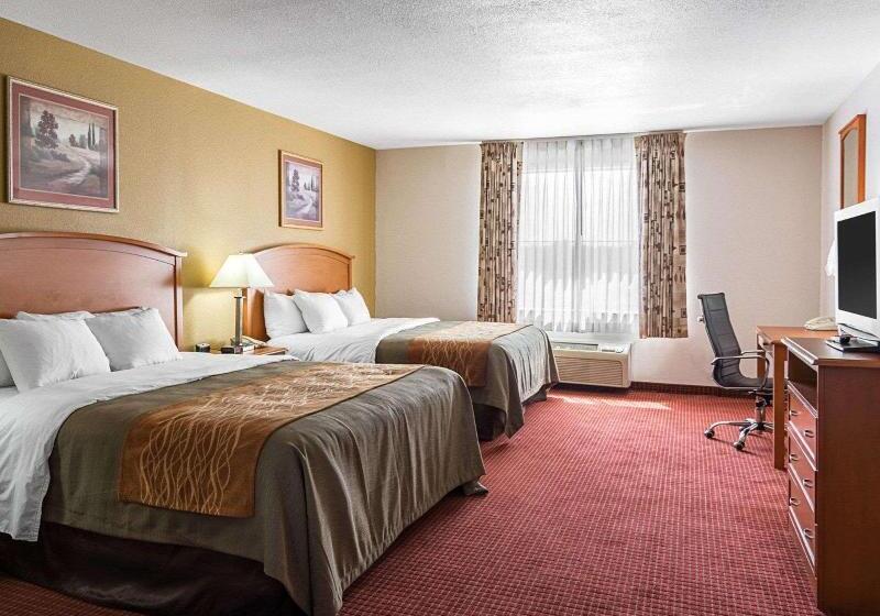 اتاق استاندارد با تخت بزرگ, Comfort Inn & Suites Chesapeake  Portsmouth