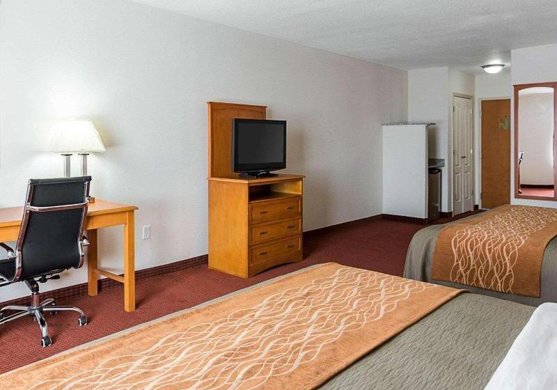 اتاق استاندارد با تخت بزرگ, Comfort Inn & Suites Chesapeake  Portsmouth