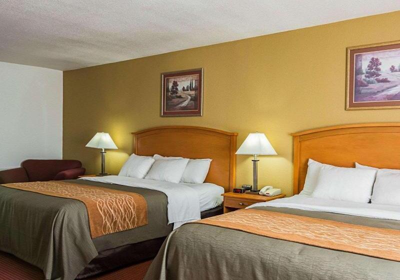 اتاق استاندارد با تخت بزرگ, Comfort Inn & Suites Chesapeake  Portsmouth