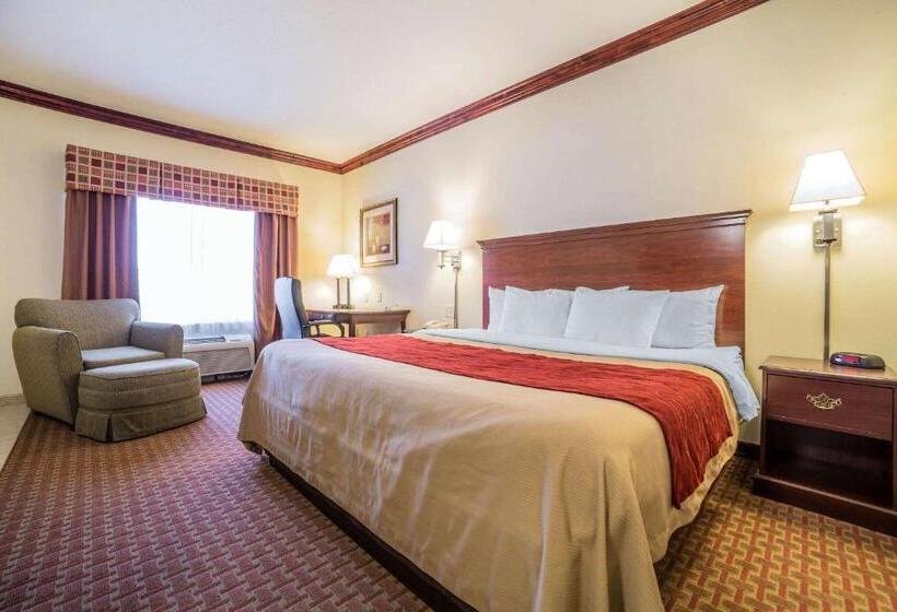 اتاق استاندارد با تخت بزرگ, Comfort Inn & Suites Rock Springs Green River