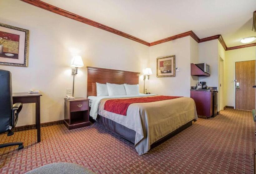 اتاق استاندارد با تخت بزرگ, Comfort Inn & Suites Rock Springs Green River