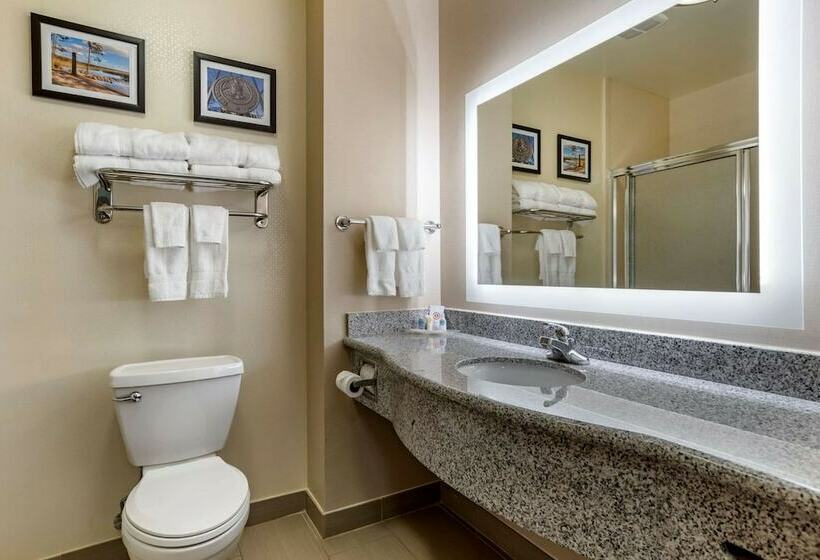 Suite, Comfort Suites Airport