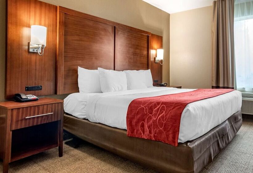 Suite Adapted for people with reduced mobility, Comfort Suites Airport