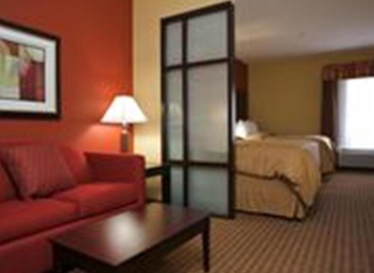 سوئیت با تخت بزرگ, Comfort Suites Golden Isles Gateway