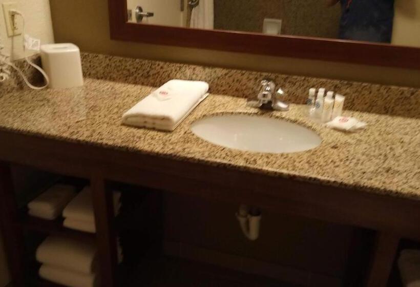 سوییت, Comfort Suites Golden Isles Gateway