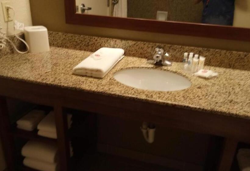 Suite Adapted for people with reduced mobility, Comfort Suites Golden Isles Gateway