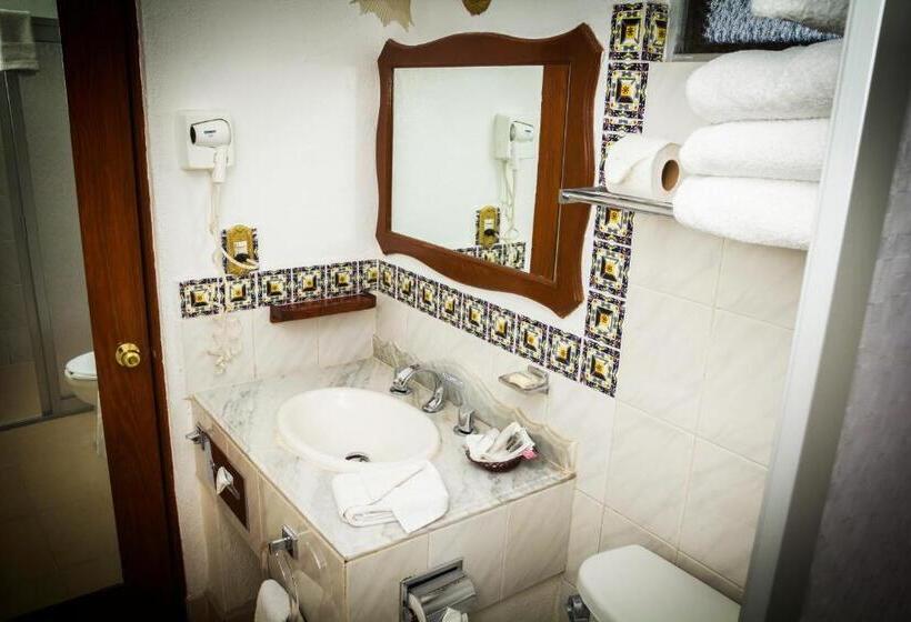 اتاق استاندارد با تخت بزرگ, Del Angel, Apizaco