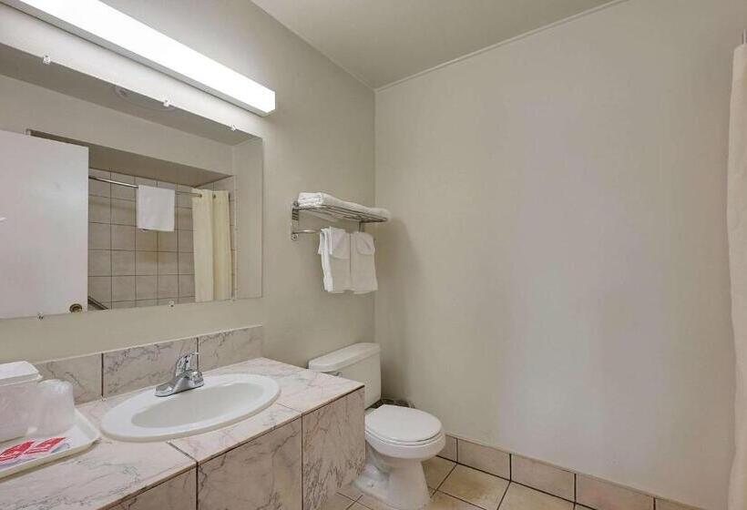 اتاق استاندارد با تخت بزرگ, Econo Lodge Woodland Near I 5