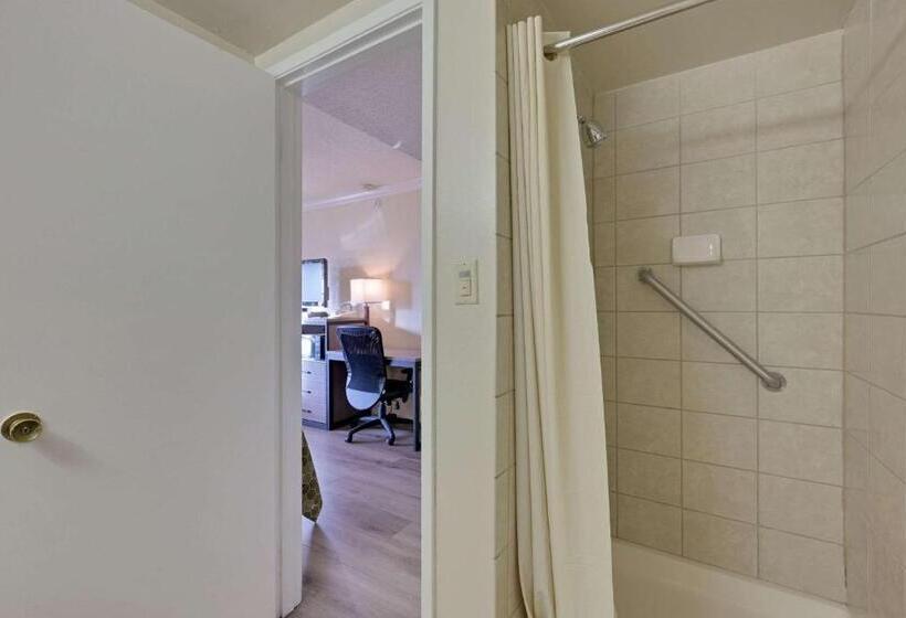 اتاق استاندارد, Econo Lodge Woodland Near I 5