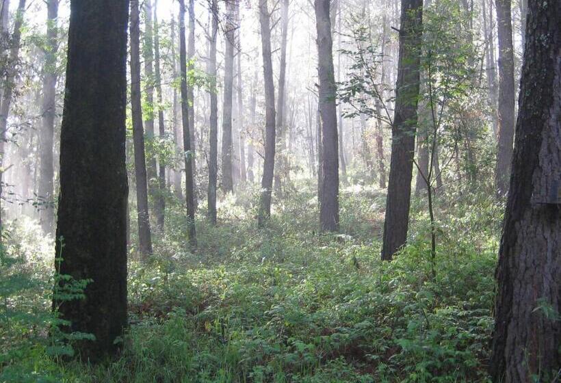 سوییت با چشم‌انداز باغ, Hacienda Mariposas