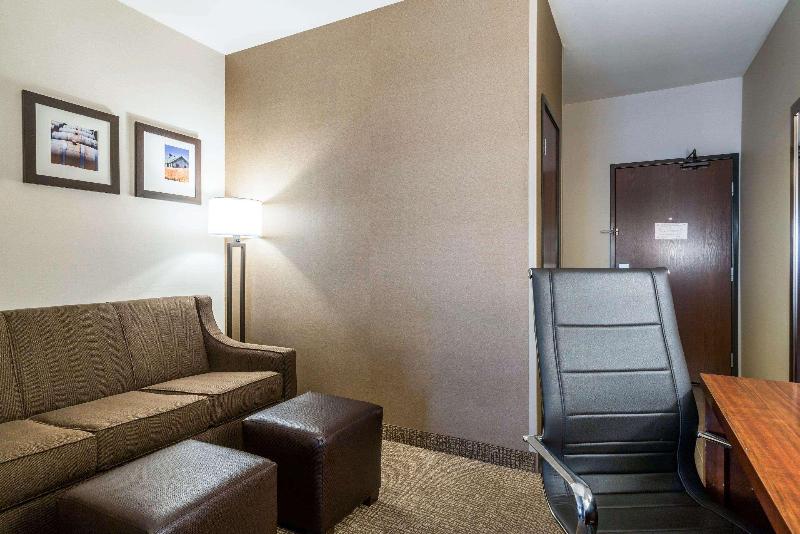 سوئیت با تخت بزرگ, Holiday Inn   Brownsville, An Ihg