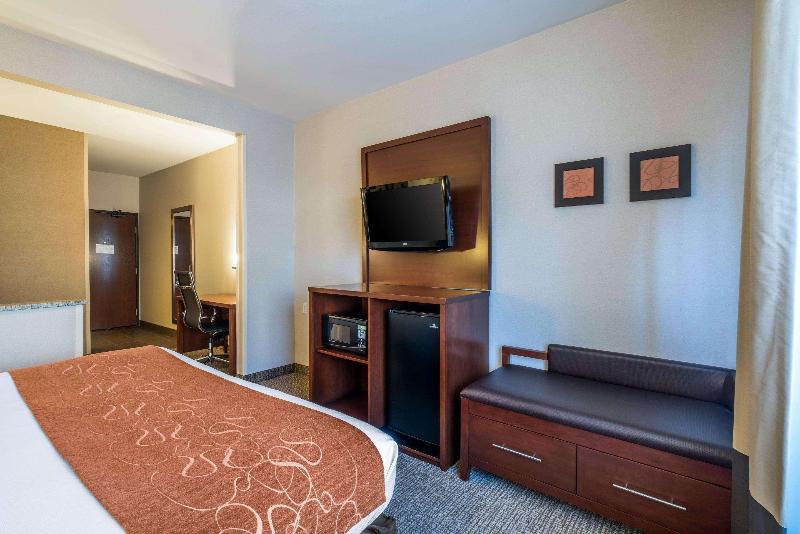 سوئیت با تخت بزرگ, Holiday Inn   Brownsville, An Ihg