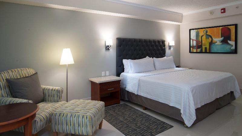 اتاق استاندارد با تخت بزرگ, Holiday Inn Tuxtla Gutierrez By Ihg