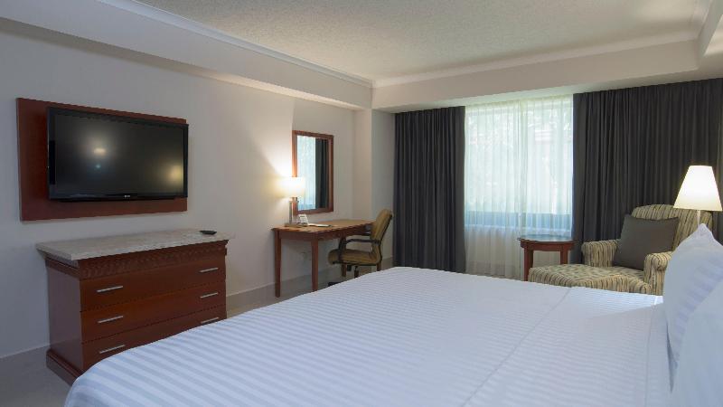 اتاق استاندارد با تخت بزرگ, Holiday Inn Tuxtla Gutierrez By Ihg