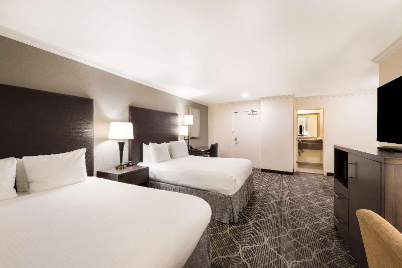 اتاق لوکس, Stubel Suites & Cafe