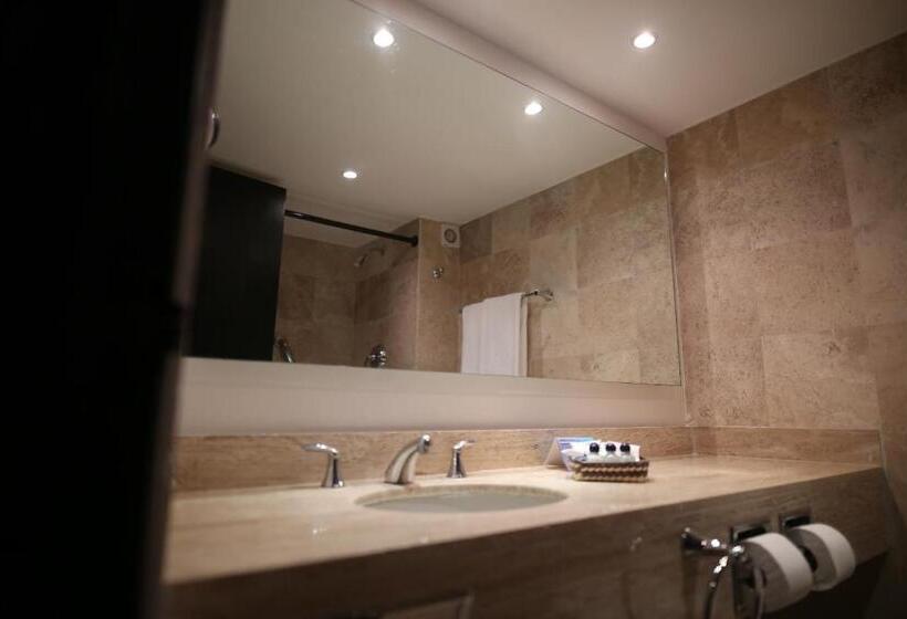 اتاق استاندارد با تخت بزرگ, Montetaxco