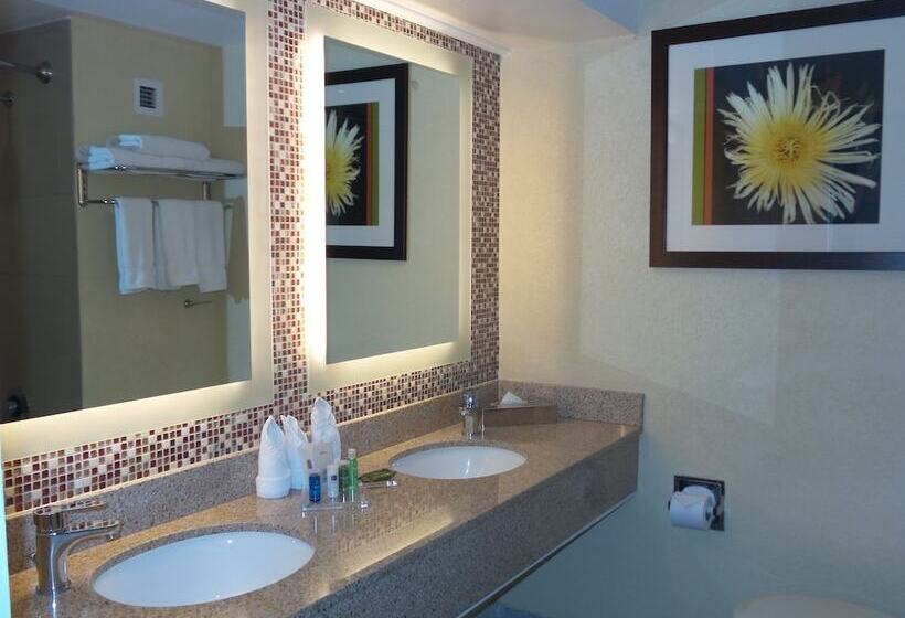 اتاق استاندارد با تخت دوبل و چشم‌انداز دریا, Radisson Aquatica Resort Barbados