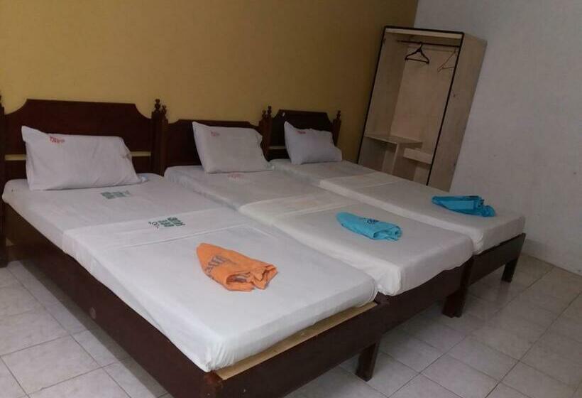 اتاق ساده سه‌ نفره, Bee Hub Pension