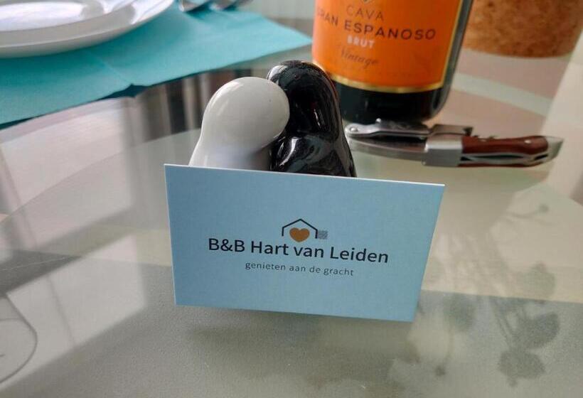 اتاق استاندارد, B&b Hart Van Leiden