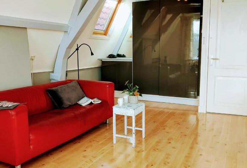 اتاق استاندارد, B&b Hart Van Leiden