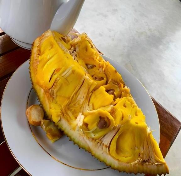 اتاق استاندارد با بالکن, Olee Villa