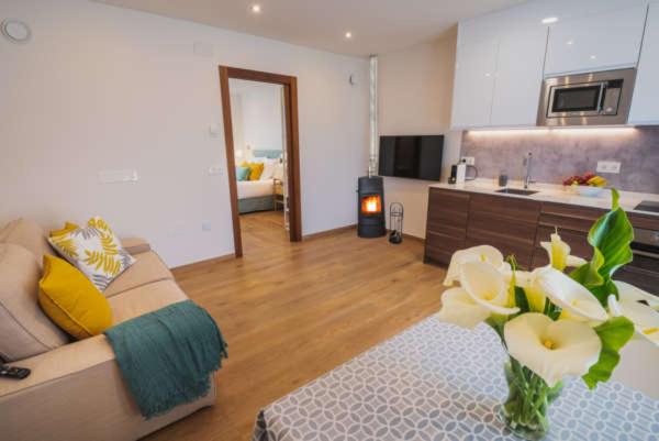 آپارتمان 1 خوابه با تراس, Apartamentos Mirador De Vidío