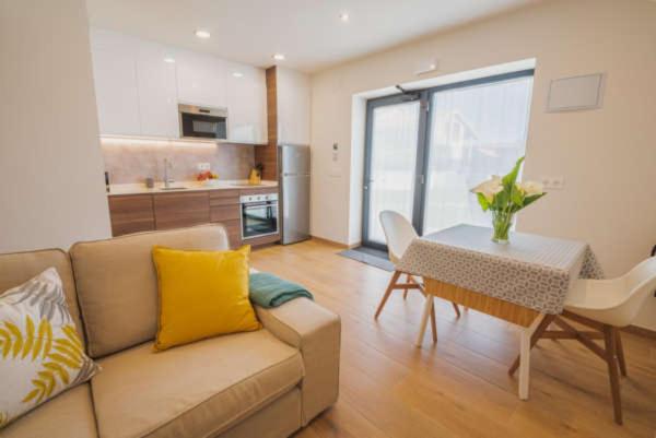 آپارتمان 1 خوابه با تراس, Apartamentos Mirador De Vidío