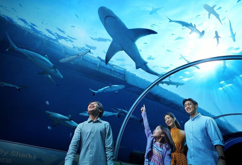 اتاق لوکس, Resorts World Sentosa   Hotel Michael