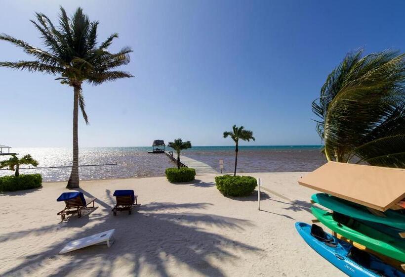 سوئیت با تخت بزرگ, Hol Chan Reef Resort & Villas