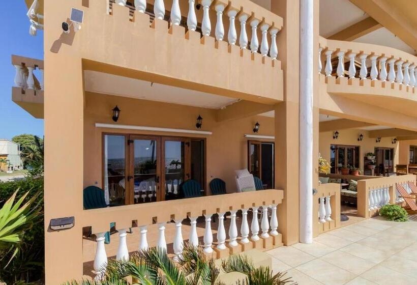 سوئیت با تخت بزرگ, Hol Chan Reef Resort & Villas