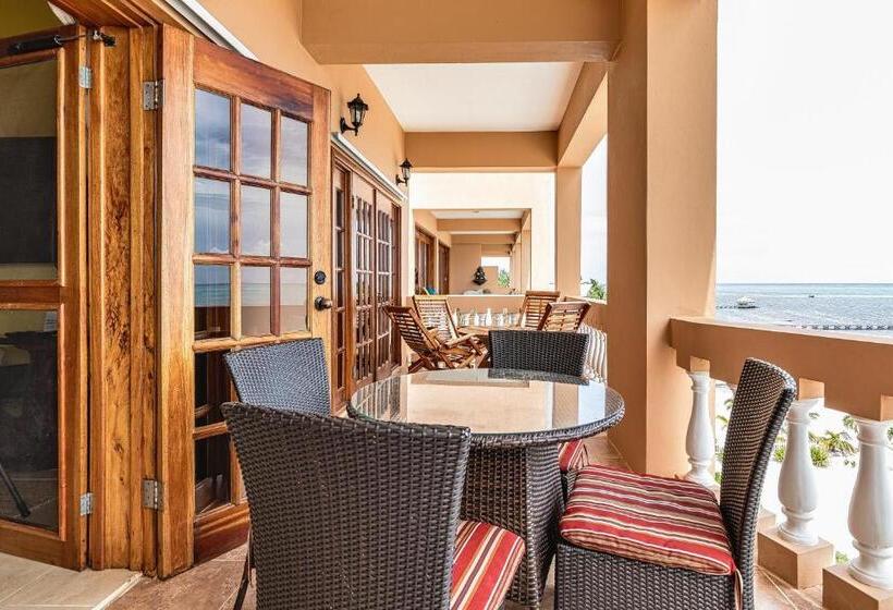 سوییت, Hol Chan Reef Resort & Villas