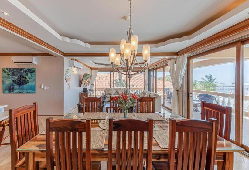 اتاق لوکس با چشم‌انداز دریا, Hol Chan Reef Resort & Villas