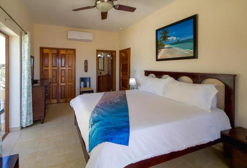 سوئیت با تخت بزرگ, Hol Chan Reef Resort & Villas