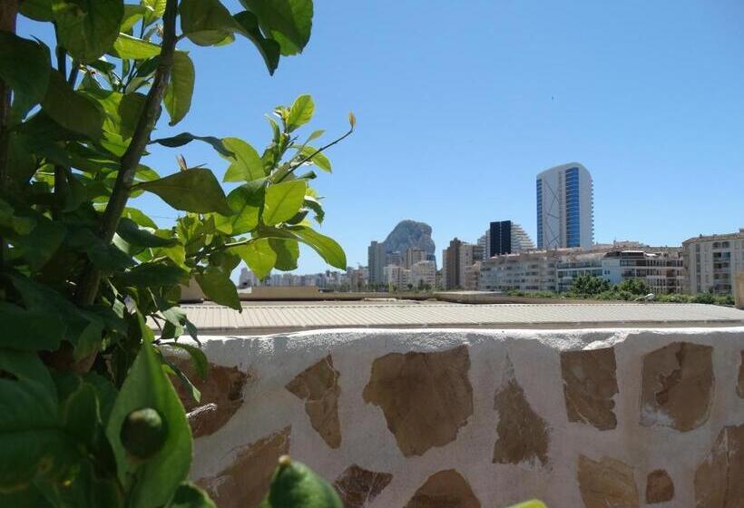 اتاق استاندارد با تراس, Calpe   Hotel Calpe Grupo
