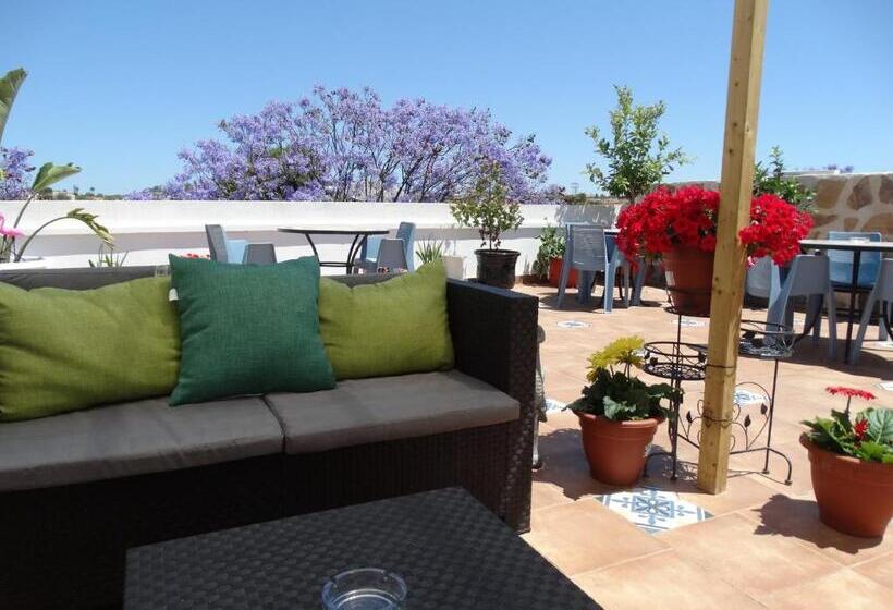 اتاق استاندارد با تراس, Calpe   Hotel Calpe Grupo