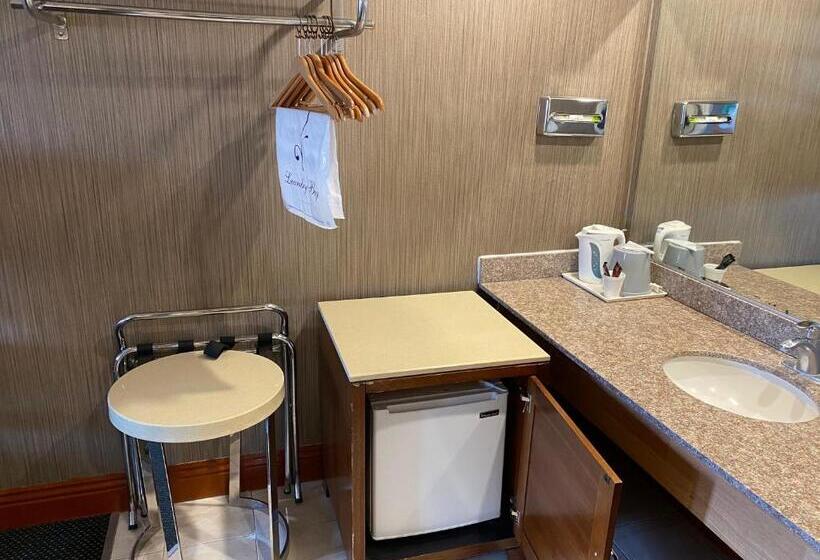 اتاق لوکس با تخت بزرگ, New Century Inn