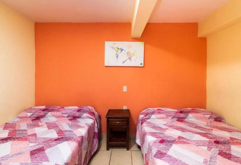 اتاق استاندارد, Zaragoza, San Juan De Los Lagos