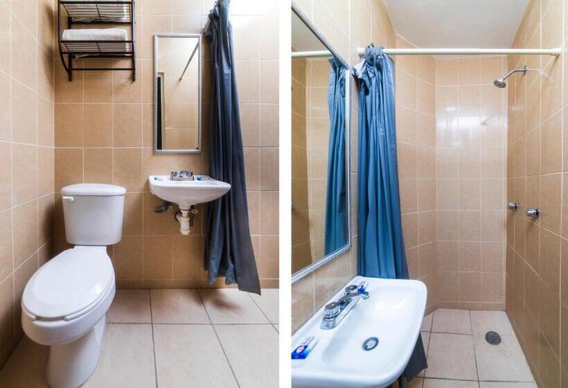 اتاق استاندارد, Zaragoza, San Juan De Los Lagos