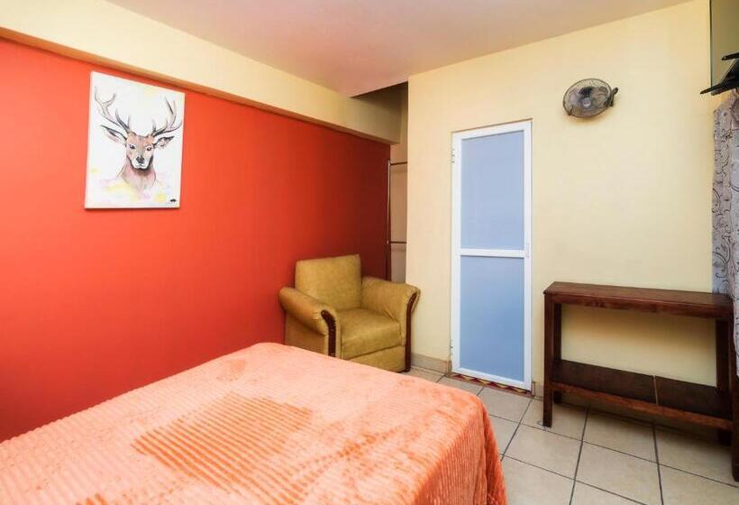 اتاق استاندارد, Zaragoza, San Juan De Los Lagos