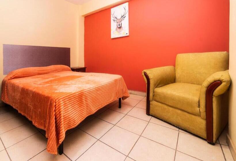 اتاق استاندارد, Zaragoza, San Juan De Los Lagos