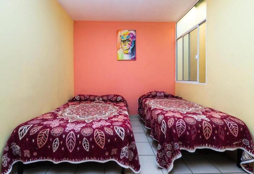 اتاق استاندارد سه نفره, Zaragoza, San Juan De Los Lagos