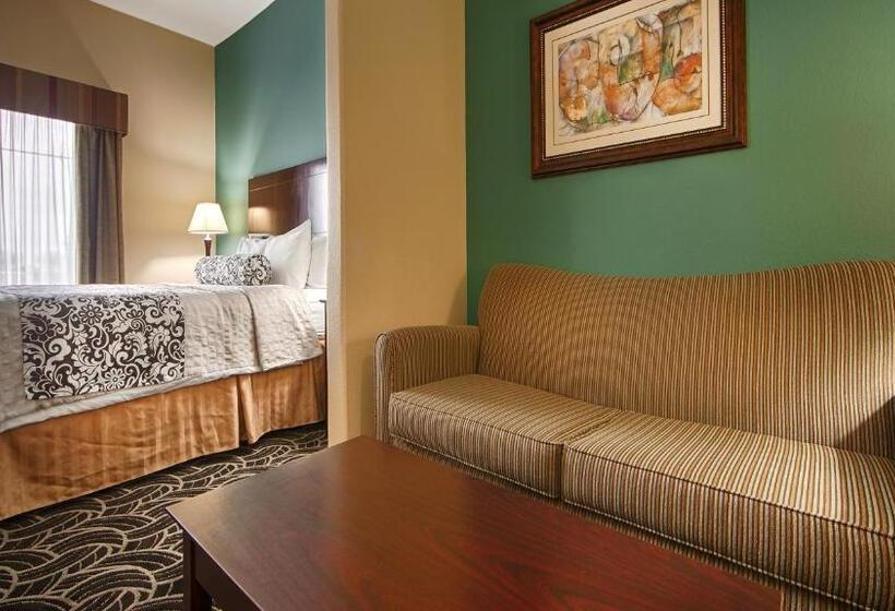 سوئیت با تخت بزرگ, Best Western Plus Katy Inn And Suites