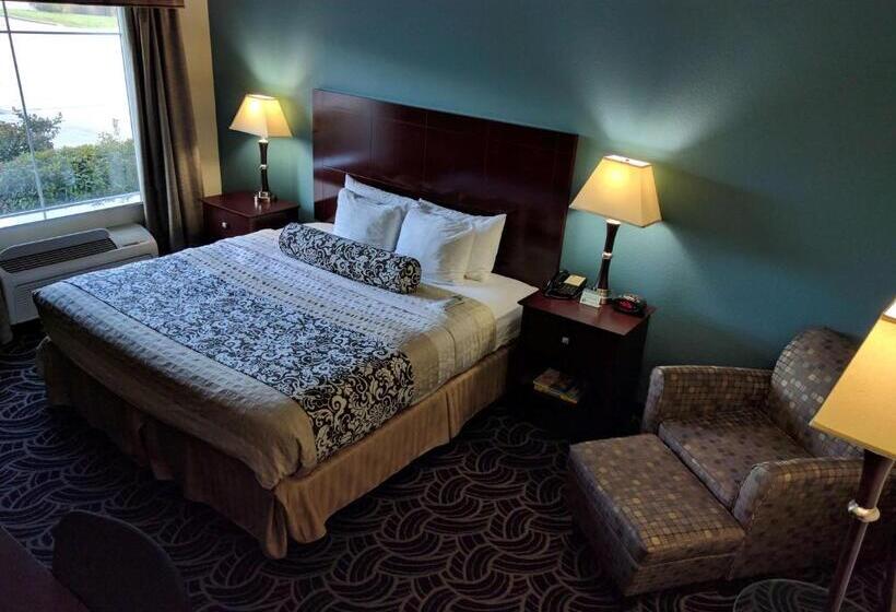 Standaardkamer met Kingsize Bed, Best Western Plus Katy Inn And Suites