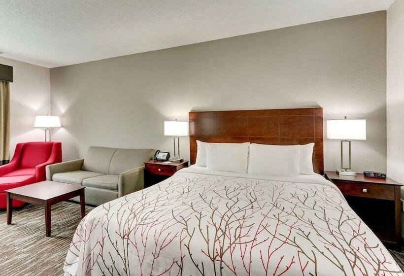 Suite, Best Western Plus University Inn And Suites