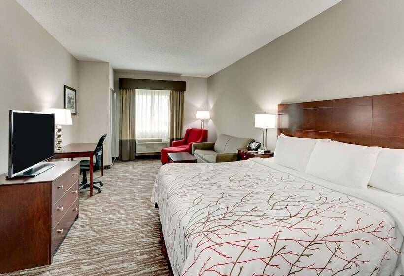 Suite, Best Western Plus University Inn And Suites