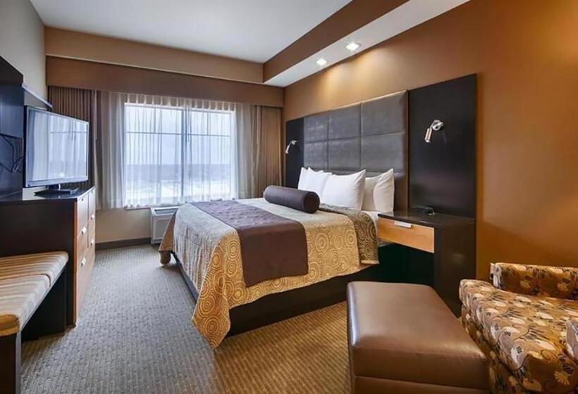 اتاق استاندارد با تخت بزرگ, Best Western Premier Bryan College Station